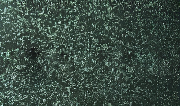 Granit Hassan Green - India